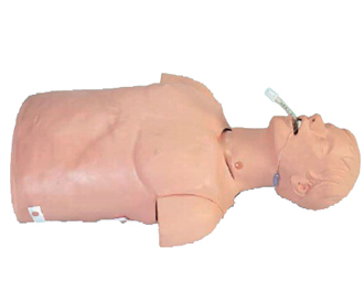 多功能成人气道处理与CPR训练模型(标准型)(Adult Airway Management Trainer Torso)
